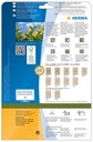 1420439p2