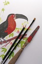 1437061p2