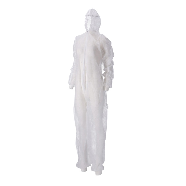 1406946p2