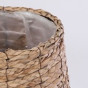 1433016p2