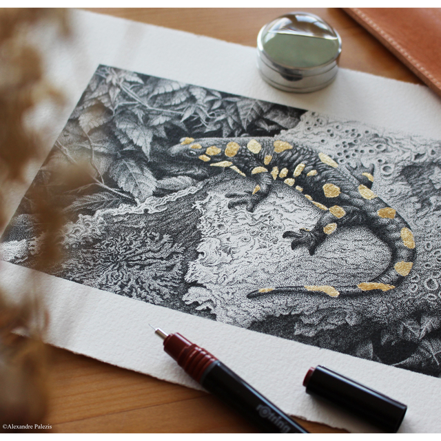 1422071p7