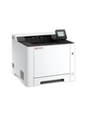 1435378p2