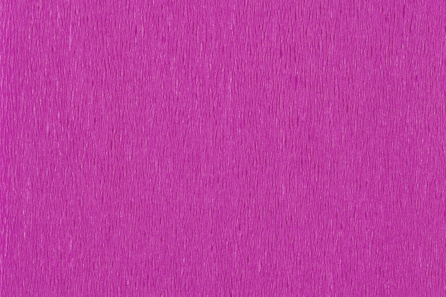 141869p2