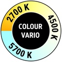 1439177p2