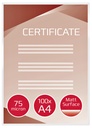 535383p2