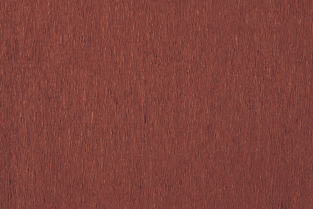 141857p2
