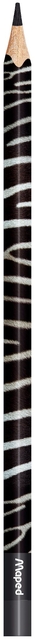 640451p2