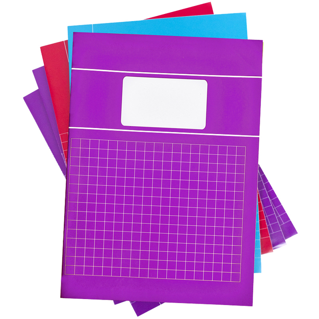 Cahier SOHO Trend A4 carreaux 10x10mm 80 pages 60g assorti 5 pièces