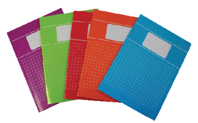 Cahier Verhaak Trend A4 carreaux 10x10mm 80 pages 60g assorti 5 pièces