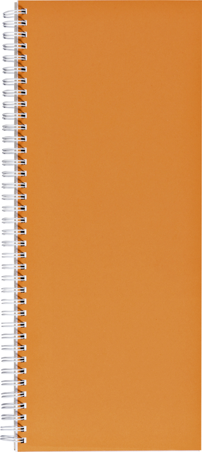 Livre d'inventaire 135x330mm ligné 160 pages 70g spirale orange
