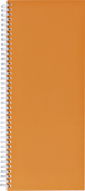 Notitieboek 135x330mm lijn 160blz 70gr spiraal oranje