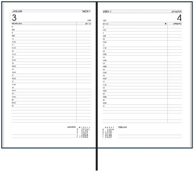 Agenda 2025 Ryam Efficiency Baladek 1 jour/1 page noir