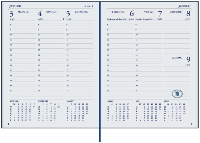 Agenda 2025 Ryam Weekplan Plus Mercury 7dagen/2pagina's rood