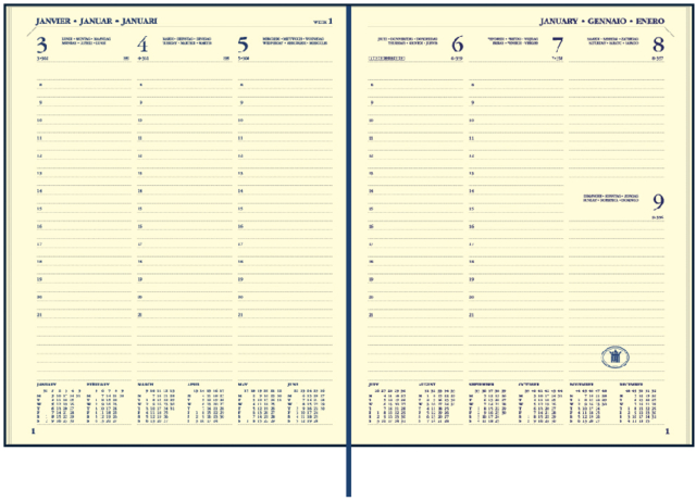 Agenda 2025 Ryam Executive Mundior 7 jours/2 pages noir