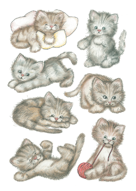 Etiquette HERMA 3477 Mignons chatons