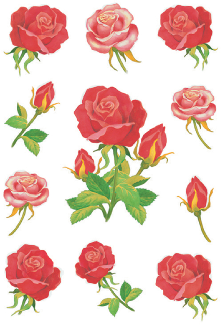 Etiquette HERMA 3581 Roses