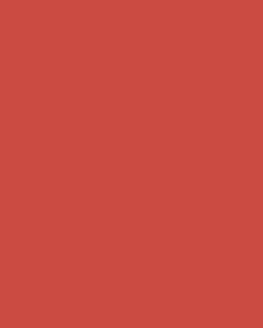Carton bricolage Folia 48x68cm 380g n° 929 rouge fluo