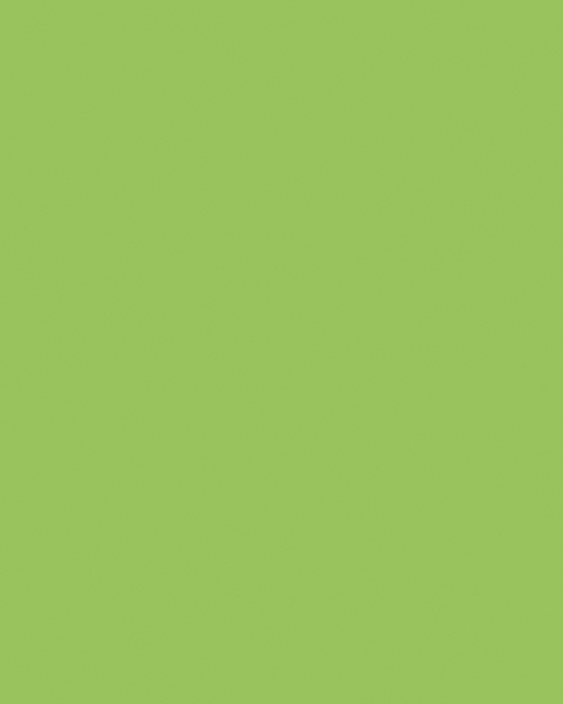 Carton bricolage Folia 48x68cm 380g n° 941 vert fluo