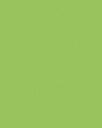 Etalagekarton Folia 1-zijdig 48x68cm 380gr nr941 fluor groen