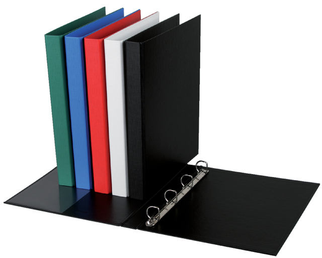 Classeur 4 anneaux Quantore méc-D 20mm PP assorti