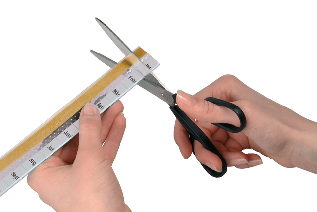 Tabstroken Durable zelfklevend glashelder 50x200mm