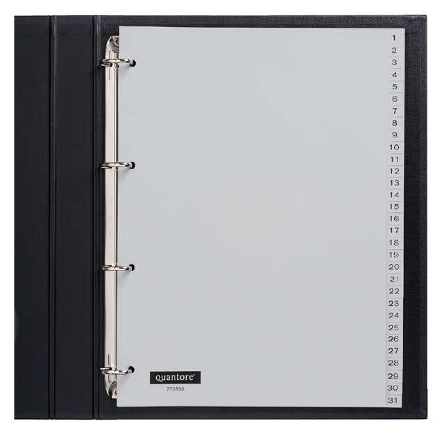Intercalaire Quantore 4 perforations numéro 1-31 PP gris