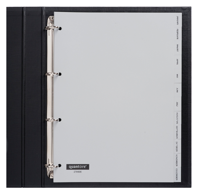 Intercalaire Quantore 4 perforations 12 onglets mois PP gris