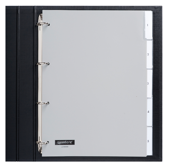 Intercalaire Quantore 4 perforations 5 onglets à fenêtre gris PP