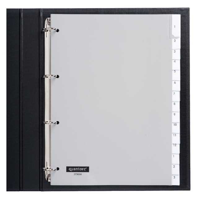 Intercalaire Quantore 4 perforations 15 onglets+fenêtre PP gris