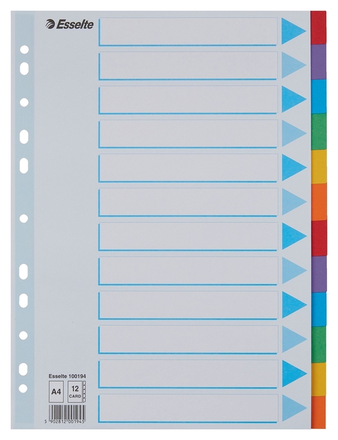 Intercalaire Esselte Standart A4 12 onglets 11 perf carton assorti