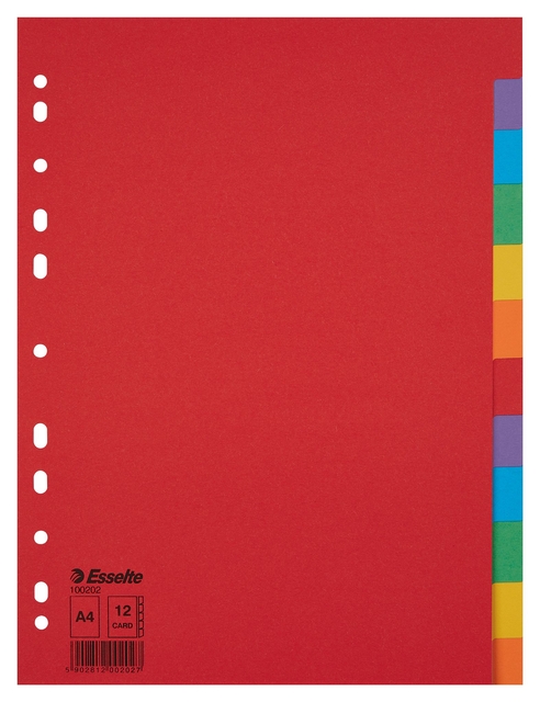 Intercalaire Esselte Economy A4 12 onglets 11perf carton assorti