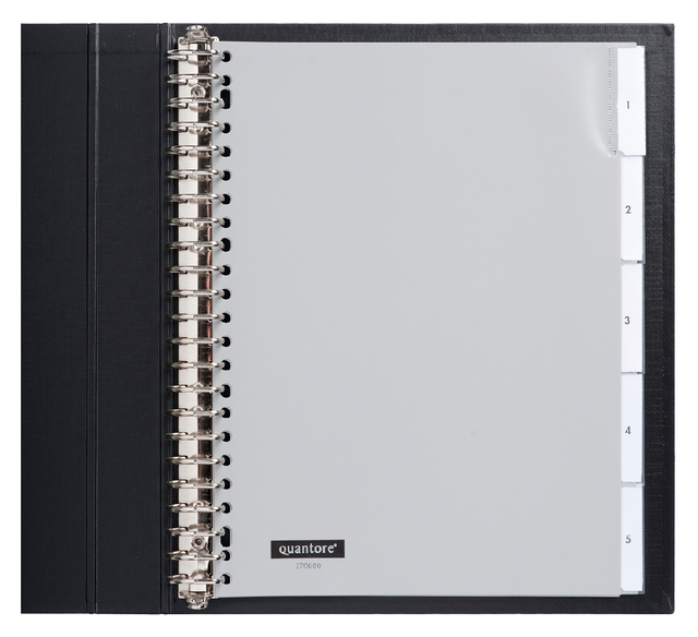 Intercalaire Quantore 23 perforations 5 onglets+fenêtre PP gris