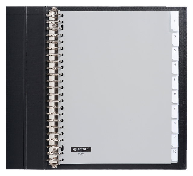 Intercalaire Quantore 23 perforations 10 onglets+fenêtre PP gris