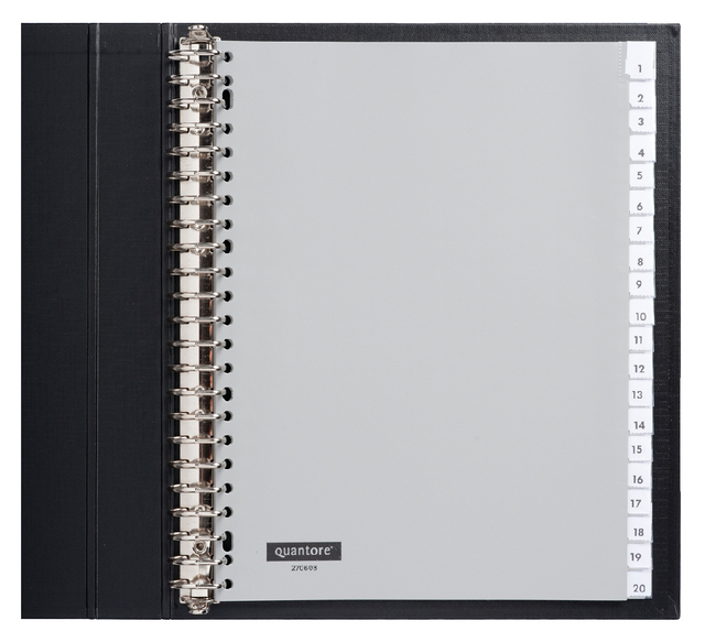 Intercalaire Quantore 23 perforations 20 onglets+fenêtre PP gris