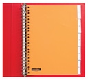 Intercalaire Quantore 23 perforations 5 onglets+fenêtre assorti PP