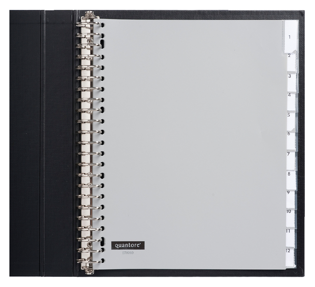 Intercalaire Quantore 23 perforations 12 onglets+fenêtre Extra Large PP