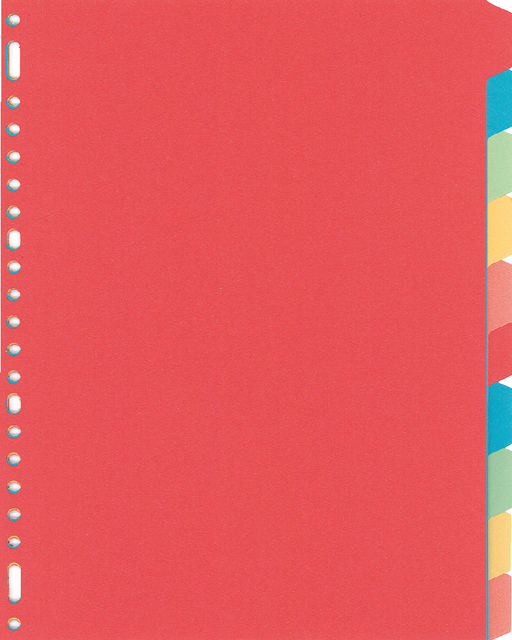 Intercalaire Kangaro PE410M A4 23 perforations 10 onglets carton assorti