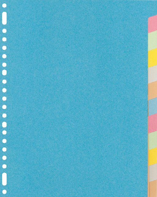 Intercalaire Kangaro RY412M A4 23 perforations 12 onglets carton assorti