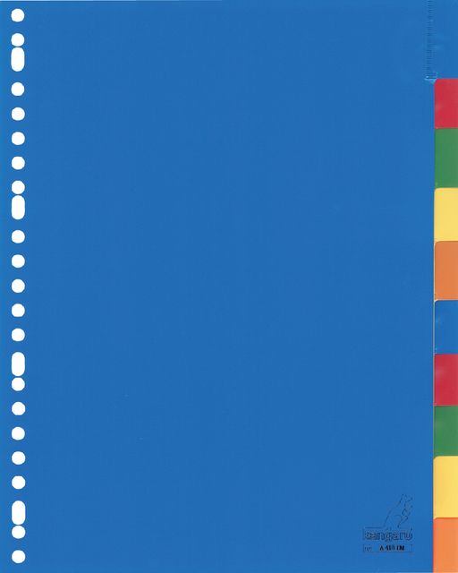 Intercalaire Kangaro A410FM A4 23 perforations 10 onglets + fenêtre PP assorti