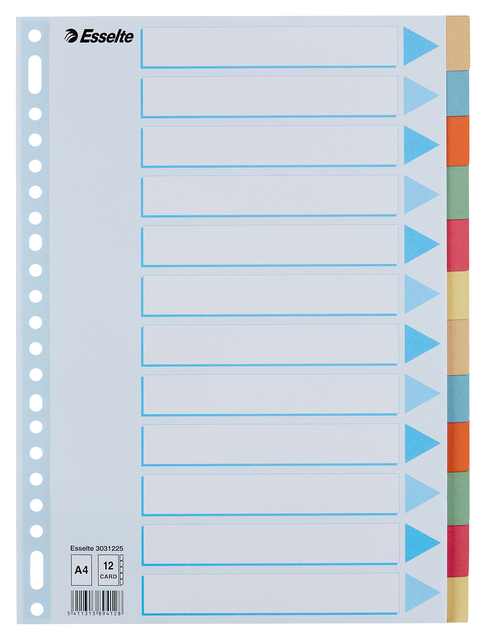 Intercalaire Esselte Premium A4 12 onglets 23 perf carton assorti
