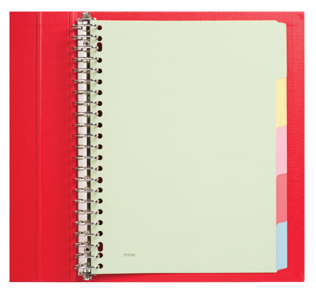 Intercalaires Qbasic 23 perforations 5 onglets carton assorti