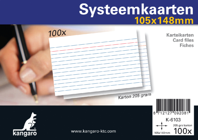 Systeemkaarten A6 105x148mm 100 stuks