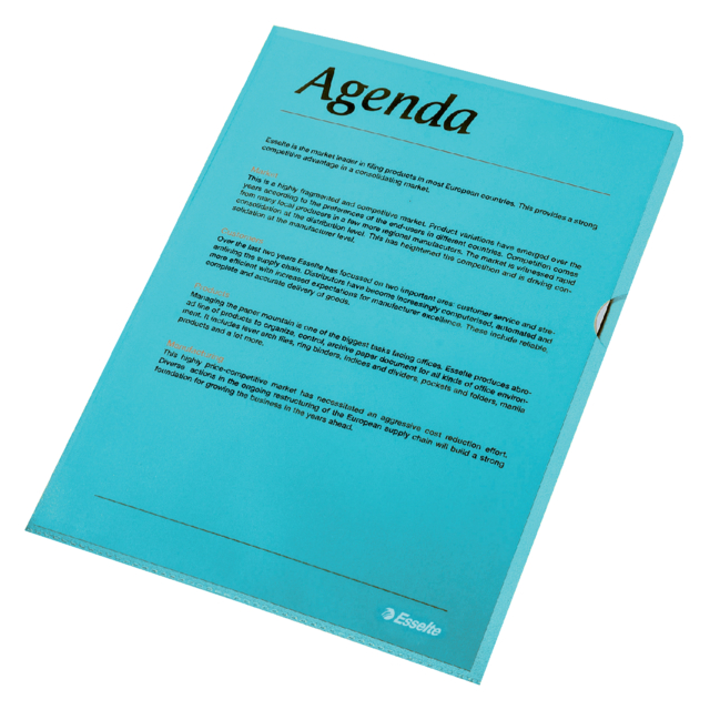 Pochette modèle L Esselte Standard A4 PP 0,11mm bleu 100 pièces