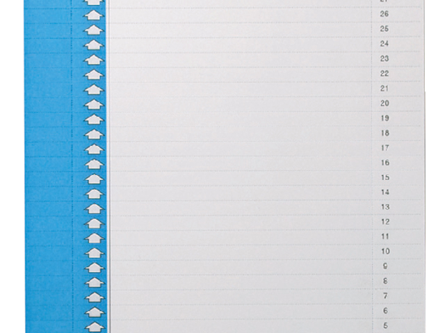 Etiquette cavalier Elba n°0 297x6mm vertical bleu 10 feuilles