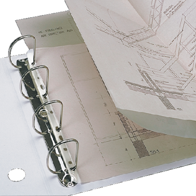 Bande de classement Djois Filestrip A4 295mm 2/4 anneaux transparent 25 pièces