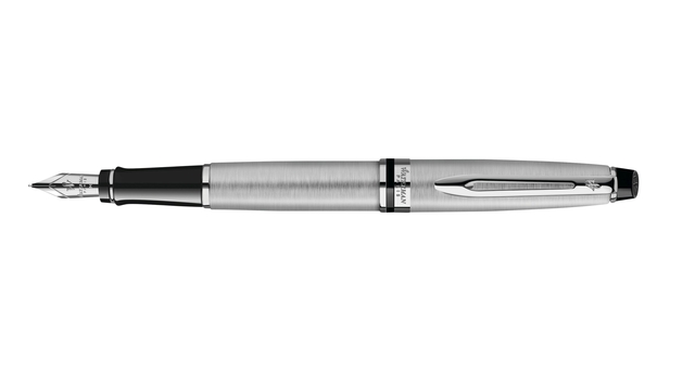 Stylo plume Waterman Expert Stainless Steel CT Medium