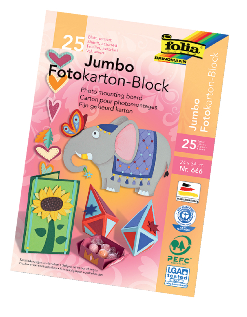 Carton photo Folia 2 faces 24x35cm 300g assorti 25 feuilles