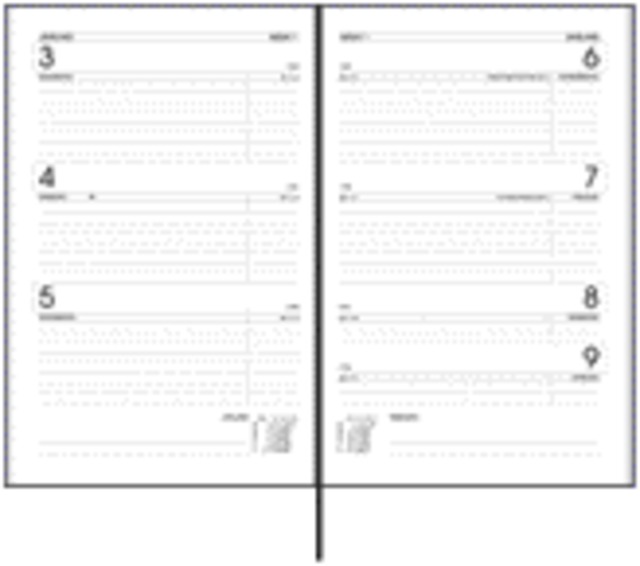 Agenda 2026 Ryam Efficiency Baladek 7 jours/2 pages noir