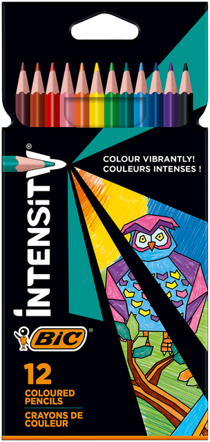 Crayon de couleur BIC Color Up 12 couleurs