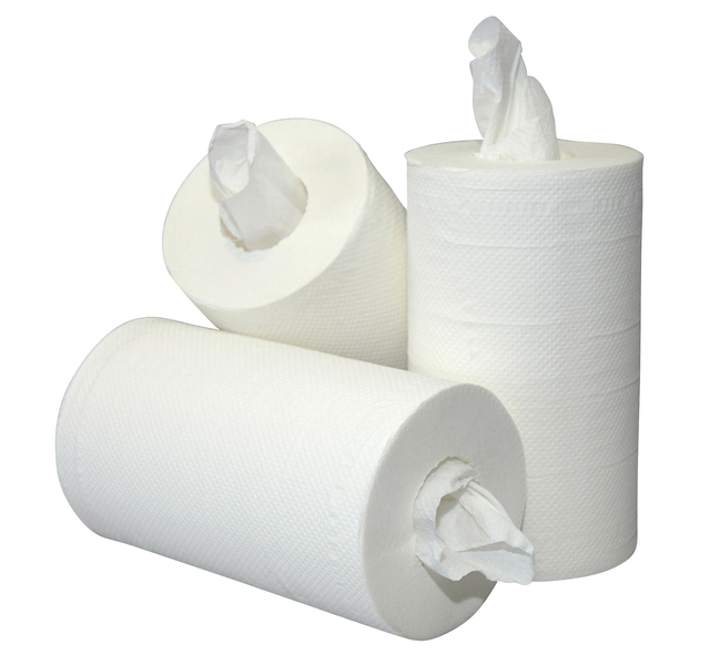 Rouleau de nettoyage Mini 2 épaisseurs 60m blanc